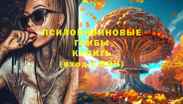 2c-b Бородино