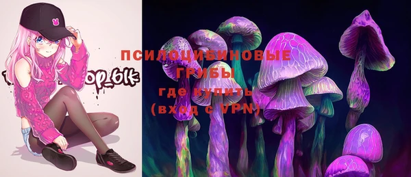 герыч Бронницы