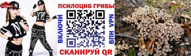 Псилоцибиновые грибы прущие грибы  Бузулук 