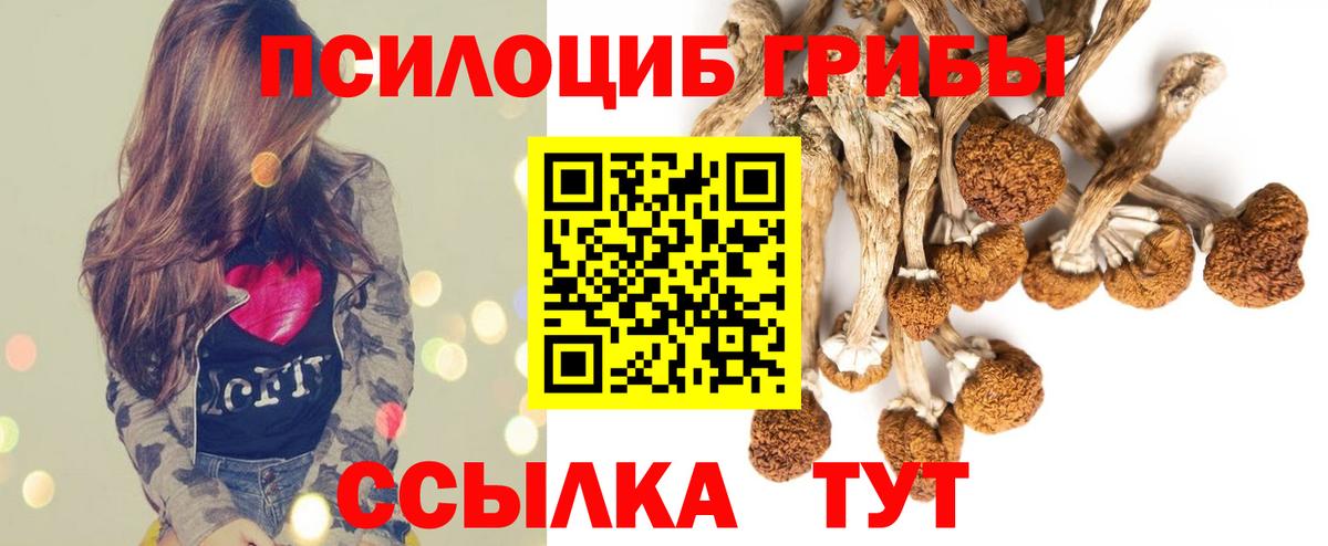 Галлюциногенные грибы прущие грибы  Вход с VPN  купить наркоту  Бузулук  Галлюциногенные грибы прущие грибы 