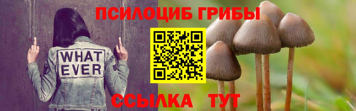 Галлюциногенные грибы ЛСД Бузулук
