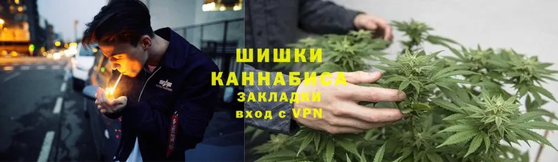 сколько стоит  Бузулук  Конопля Bruce Banner 